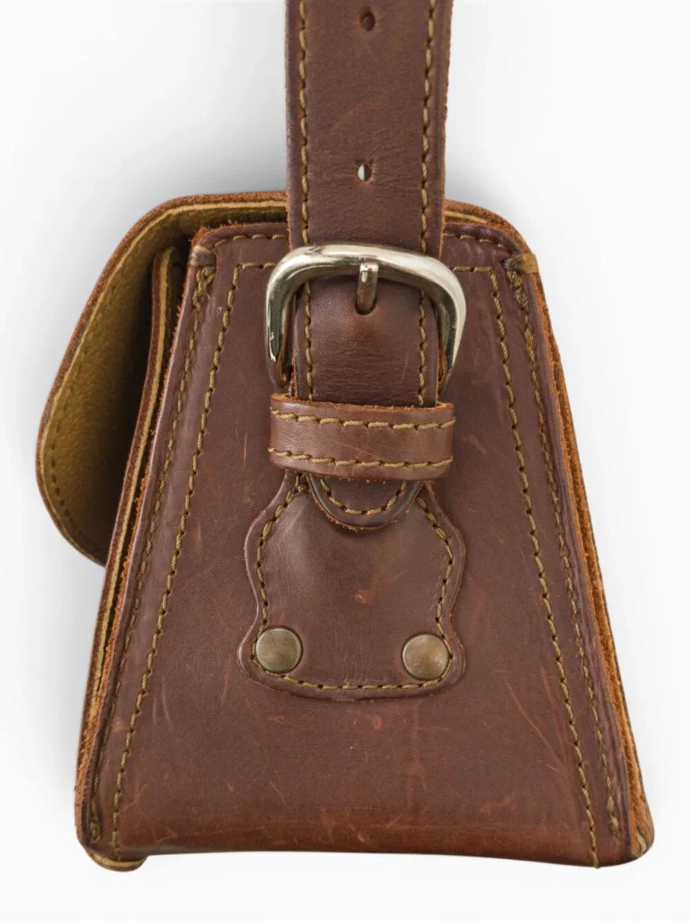 Saddleback 